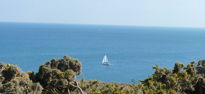 Jersey Rural Boat