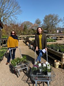 Samares Gardens