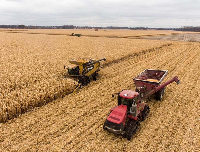 Tractors on corn field