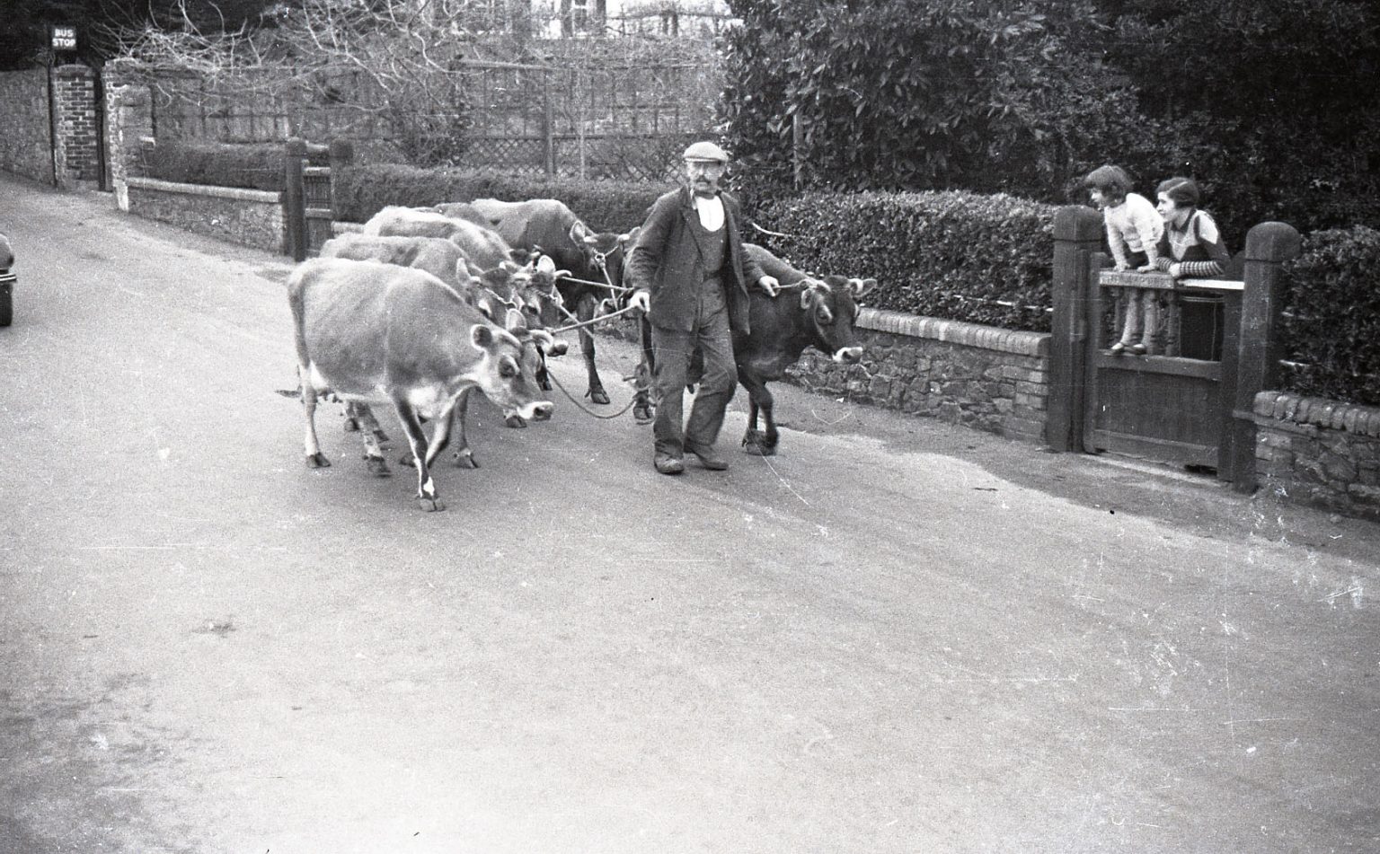 JERSEY'S RURAL AND FARMING HERITAGE RURAL
