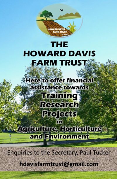 HDFT Advertisement 2